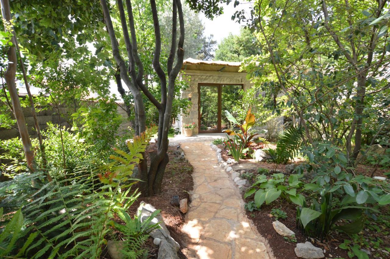 شقة Ginko House أوباتيا المظهر الخارجي الصورة