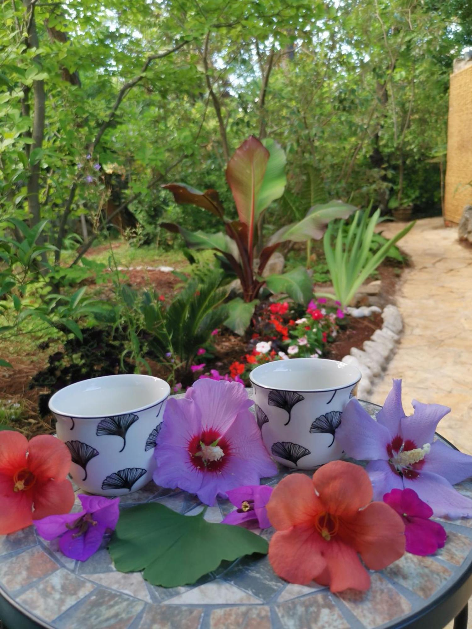 شقة Ginko House أوباتيا المظهر الخارجي الصورة